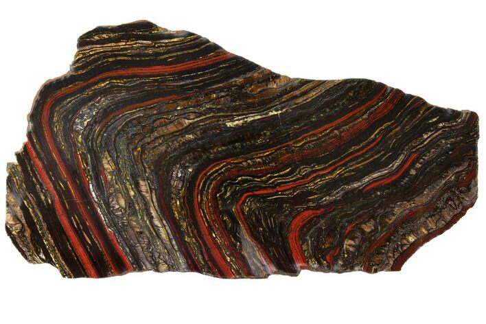 Polished Tiger Iron Stromatolite - Billion Years #129332